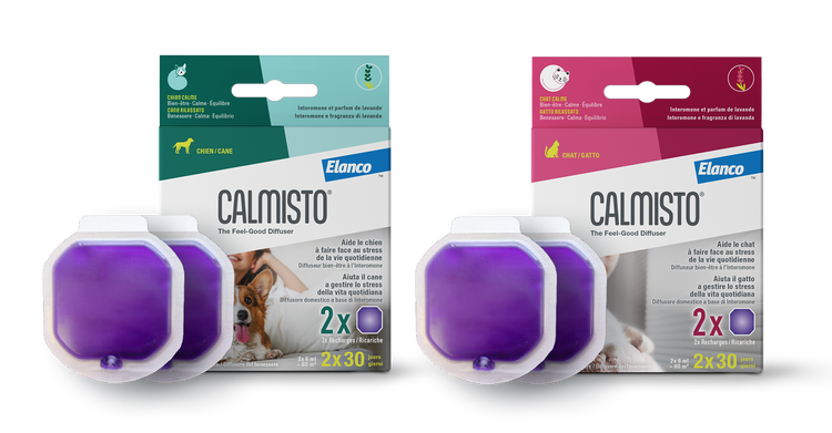 calmisto